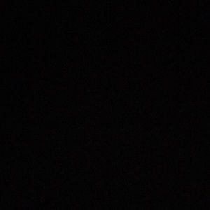 Meet your Posher, Phillip